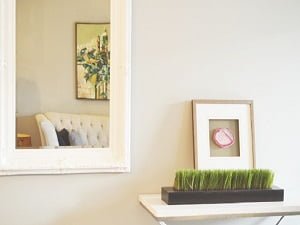 Services Burpengary Glaziers 2 Mirrors Caboolture